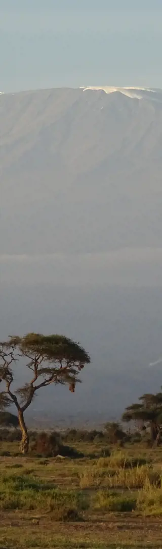 Traumhafte Aussicht!